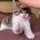 Ilya Steputenko's avatar